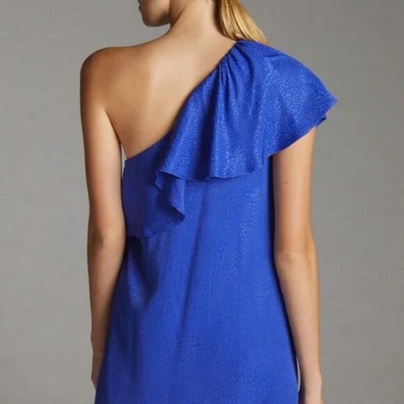 Anthropologie One Shoulder Ruffle Leopard Cheetah Textured Mini Dress - Picture 2 of 7